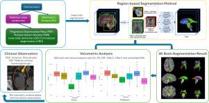 Region-based U-nets for fast, accurate, and scalable deep brain segmentation: Application to Parkinson Plus Syndromes