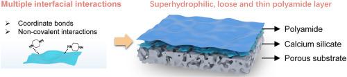 Ultrathin mineral interlayers regulate interfacial polymerization of polyamide nanofiltration membranes via multiple non-covalent and coordination bonding for rapid molecular separation