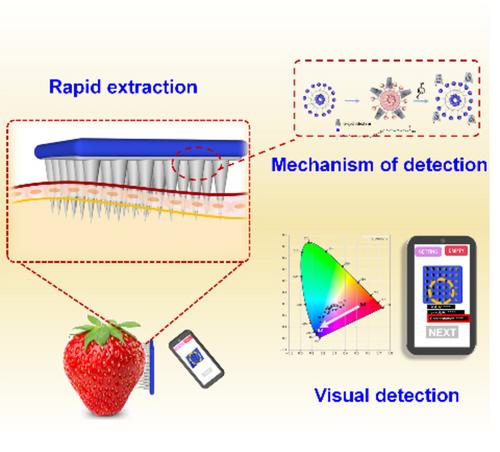 A Smartphone-Integrated Coated Microneedle Sensor for In-Situ Extraction and Rapid Detection of Total Phenols in Fruits and Vegetables
