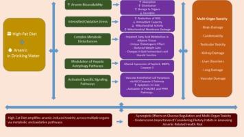A high-fat diet exacerbates arsenic toxicity in various organs. A systematic review of toxicity and mechanism