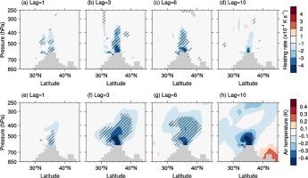 Subseasonal impact of extreme Tibetan Plateau snow cover on the local atmosphere in summer