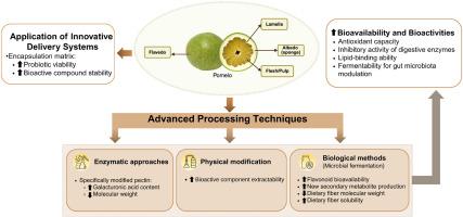 Pomelo by-products: A bibliometric review on enhancing gut health and digestive function for metabolic regulation through advanced processing techniques