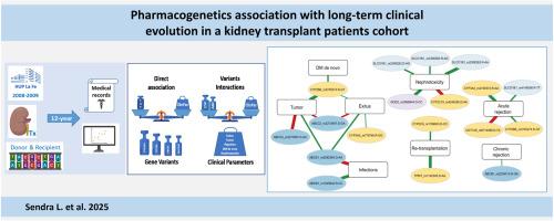 Pharmacogenetics association with long-term clinical evolution in a kidney transplant patients cohort