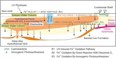 Anaerobic photoferrotrophy and hydrothermal influence in the Mesoarchean Girar banded iron formation: insights from micropaleontology and geochemistry