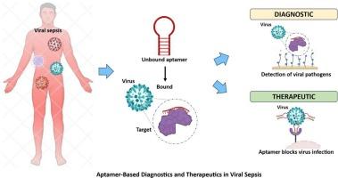 Aptamer-based diagnostics and therapeutics in viral sepsis: current progress, application and future prospects