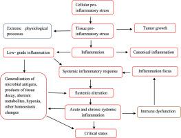 Decoding inflammatory signaling networks: From molecular mechanisms to therapeutic targets
