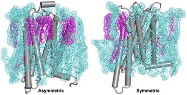 Lipid–GPCR interactions in an asymmetric plasma membrane model†