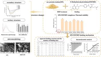Interaction of high pressure-stressed soy protein isolate and 5-methyltetrahydrofolate and its impact on the stability of 5-methyltetrahydrofolate