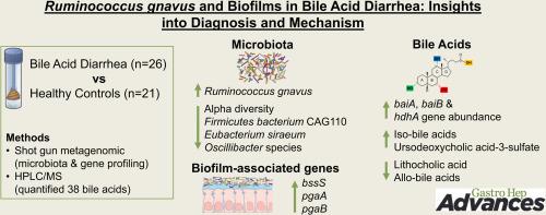 Ruminococcus gnavus and Biofilm Markers in Feces From Primary Bile Acid Diarrhea Patients Indicate New Disease Mechanisms and Potential for Diagnostic Testing