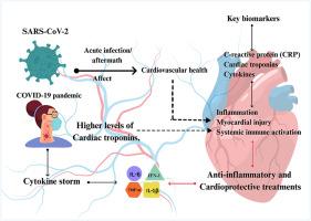 A comprehensive review on the interconnection of C-reactive protein, cardiac troponins, and cytokine storm in cardiovascular manifestations of COVID-19