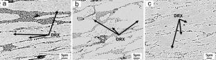 Enhanced Strength and Ductility of Biodegradable Zn-1Mg Alloy Through EECAP Processing at Different Temperatures