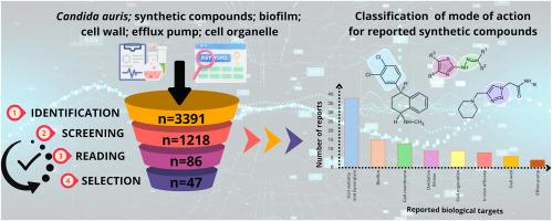 Unveiling the mechanisms of synthetic compounds against Candida auris: An integrative review