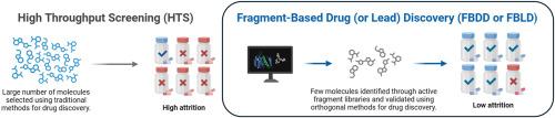 Fragment-based drug discovery: A graphical review