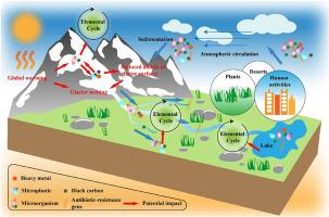 Glacial microbial-environmental interactions on the Tibetan Plateau: A review