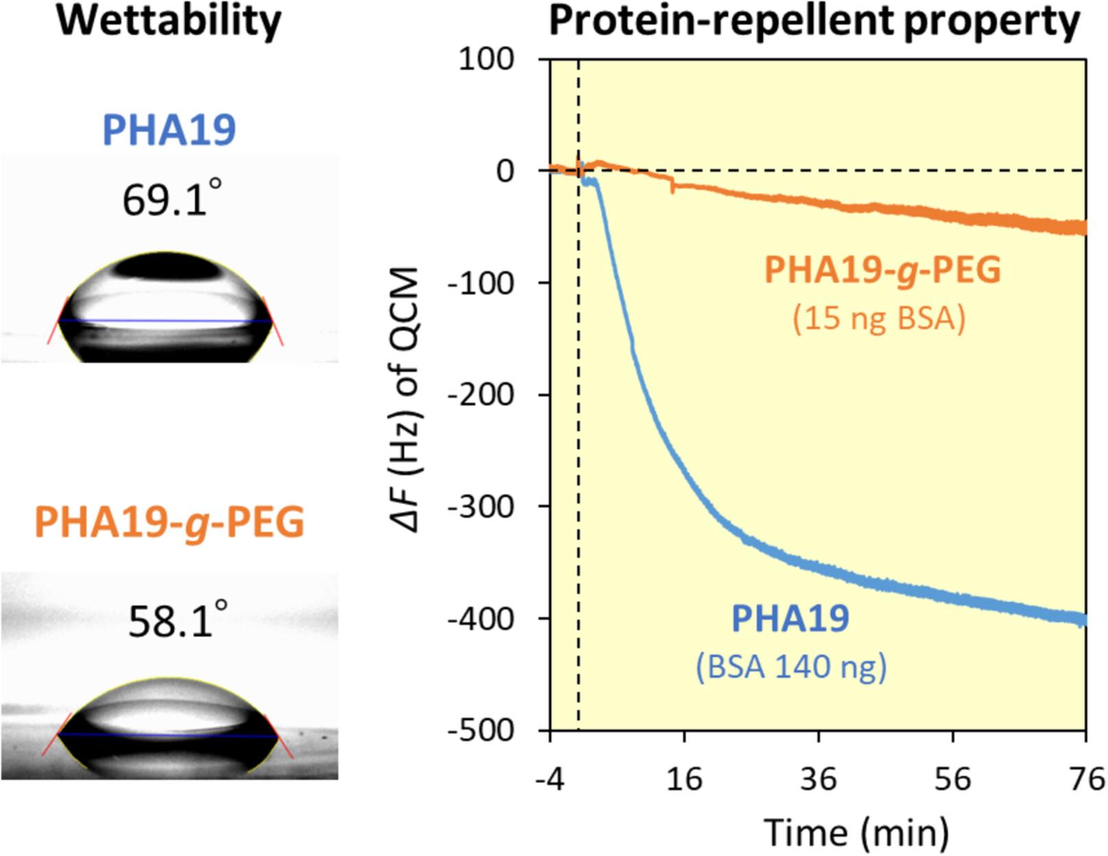 Polyethylene glycol grafting by thiol-ene reaction for the chemical modification of polyhydroxyalkanoates