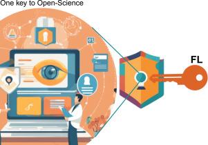 FedDeepInsight—A privacy-first federated learning architecture for medical data