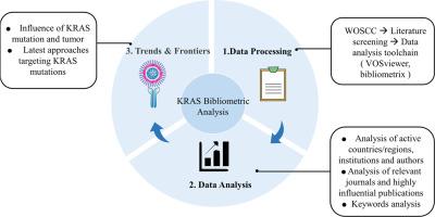 A bibliometric analysis on KRAS, a targeted marker for blockbuster clinical drugs