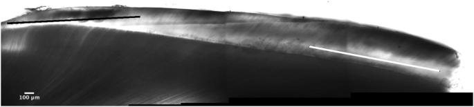 Abstract Image