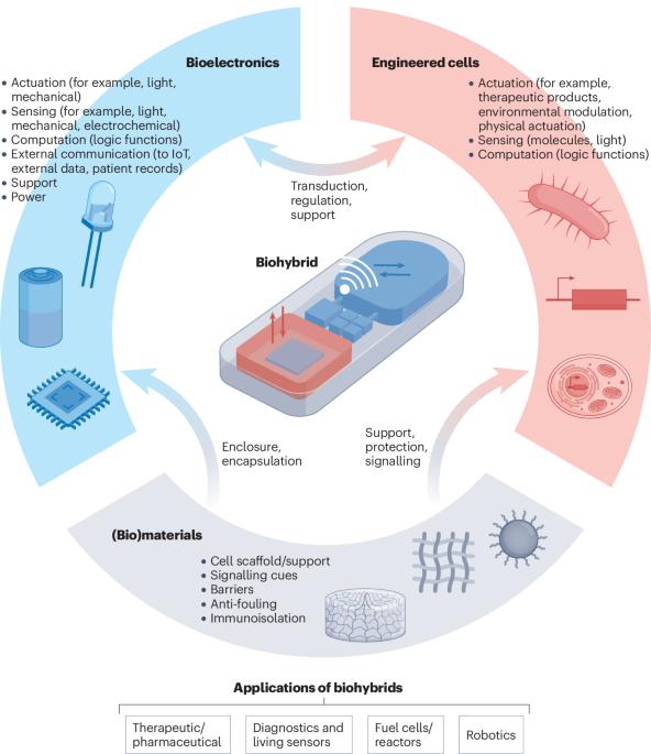 Integrating bioelectronics with cell-based synthetic biology