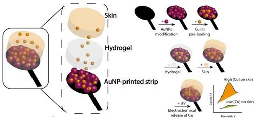 All-in-One Portable Electrochemical Strips for Drug Release, Delivery and Monitoring
