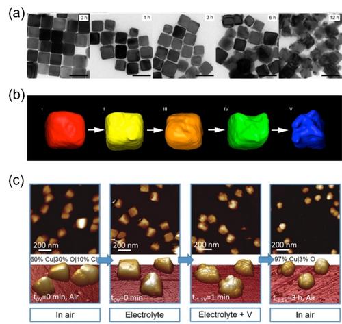 Probing Activation and Deactivation Mechanisms in Electrochemical CO2 Reduction Reaction and Water Splitting through In-Situ/Operando Analysis