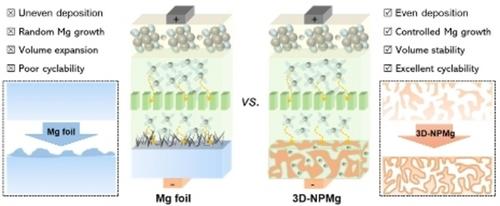 A Reductive Environment-Assisted Dealloying Approach for Hierarchical Porous Metals in Efficient Magnesium Metal Batteries