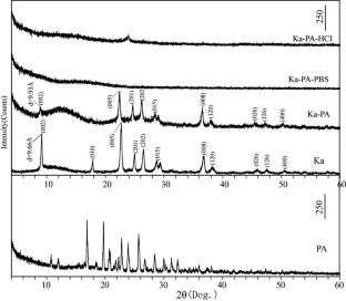 Kanemite used as carrier of procainamide hydrochloride and sustained release of drugs
