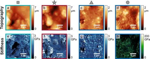 Correlative Electron Paramagnetic Resonance Imaging and Atomic Force Microscopy of Lithium Deposited on Copper