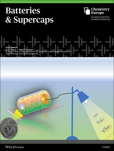 Cover Feature: 3D Ternary Hybrid of VSe2/e-MXene/CNT with a Promising Energy Storage Performance for High Performance Asymmetric Supercapacitor (Batteries & Supercaps 1/2025)