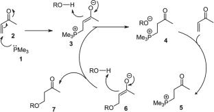 The mechanism of the phosphine-catalyzed oxa-Michael reaction: a DFT investigation
