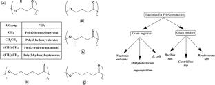 Biopolymers: a comprehensive review of sustainability, environmental impact, and lifecycle analysis