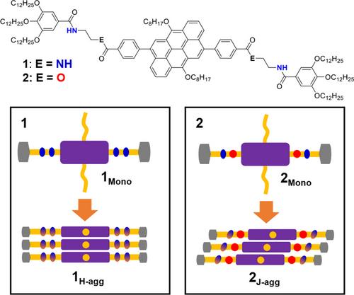 Controlling the J- and H-Aggregates and Supramolecular Polymerization Pathways of Anthanthrene by Tuning the Hydrogen Bonding Sites