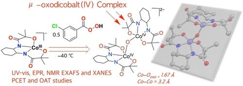 Synthesis and Reactivity of a Non-Heme μ-Oxodicobalt(IV) Complex