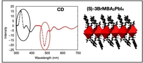 Decoding Circular Dichroism Contributions in Chiral Hybrid Perovskites