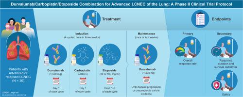 Study protocol of an open-label prospective phase II study of Durvalumab plus Carboplatin and Etoposide in advanced large cell neuroendocrine carcinoma of the lung (LOGIK2401: NECTAR study)