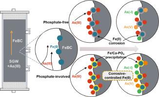 Interactions between phosphate and arsenic in iron/biochar-treated groundwater: Corrosion control insights from column experiments