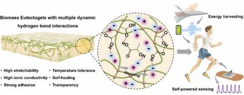 Stretchable, Self-Healing, Temperature-Tolerant, Multiple Dynamic Interaction-Enabled Conductive Biomass Eutectogels for Energy Harvesting and Self-Powered Sensing