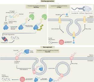 Targeted degradation of membrane proteins