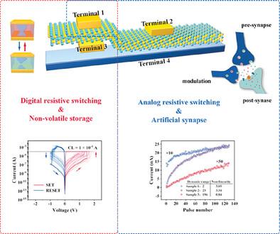 Freely Selective Analog and Digital Resistive Switching Behavior of In2Se3 Devices for Storage and Neuromorphic Applications