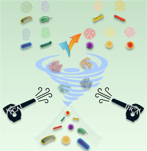 Pressure Sensor Array Based on Four DNA-Nanoenzymes with Catalase-like Activity for Portable Multiple Detection of Foodborne Pathogens