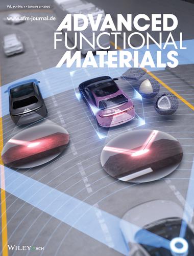 Designing LiDAR-Detectable Dark-Tone Materials with High Near-Infrared Reflectivity for Autonomous Driving: A Comprehensive Review (Adv. Funct. Mater. 1/2025)