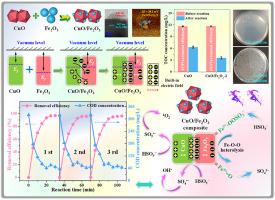 Internal electric field triggered charge redistribution in CuO/Fe2O3 composite to regulate the peroxymonosulfate activation for enhancing the degradation of organic pollutants