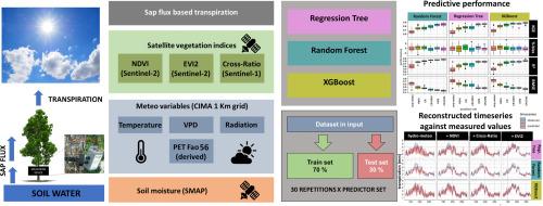 Reconstruction of the dynamics of sap-flow timeseries of a beech forest using a machine learning approach