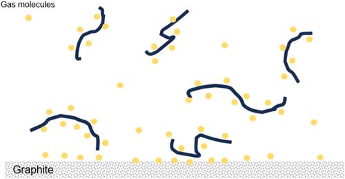 Evidence Supporting Enrichment of Dissolved Air Gases near Hydrophobic Macromolecules in Aqueous Solutions