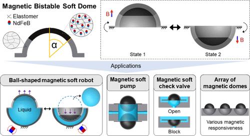 Magnetic Bistable Dome Actuators for Soft Robotics with High Volume Capacity and Motion Stability