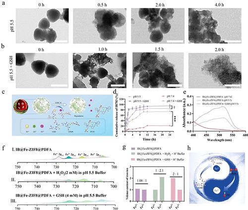 Correction to “Photothermally Reinforced Nanozyme Remodeling Tumor Microenvironment of Redox and Metabolic Homeostasis to Enhance the Ferroptosis in Tumor Therapy”
