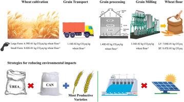 How can the environmental impacts of wheat cultivation and wheat flour production be reduced? A life cycle assessment of Brazilian wheat