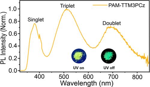 Radical Polymers for Simultaneous Singlet, Doublet, and Triplet Emission and Extended Spin Coherence Time