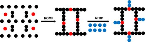 Synergistic Combination of Living Ring-Opening Metathesis Polymerization and Atom Transfer Radical Polymerization to Synthesize Structurally Tailored and Engineered Macromolecular Networks