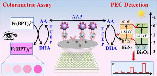 A Chemical Redox Cycling-Based Dual-Mode Biosensor for Self-Powered Photoelectrochemical and Colorimetric Assay of Heat Shock Protein